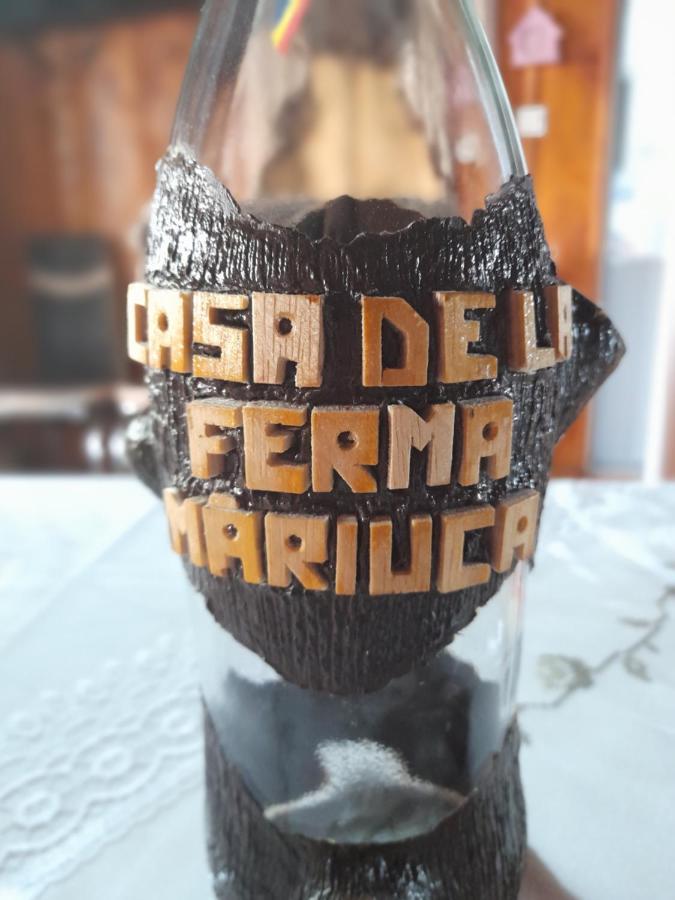 Вилла Casa De La Ferma Mariuca Berbesti Экстерьер фото