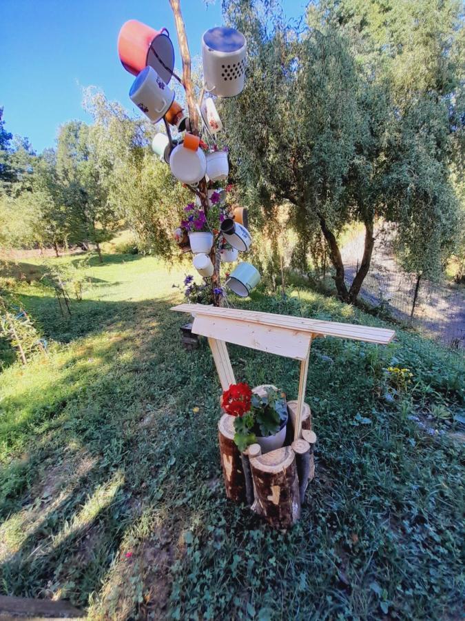 Вилла Casa De La Ferma Mariuca Berbesti Экстерьер фото