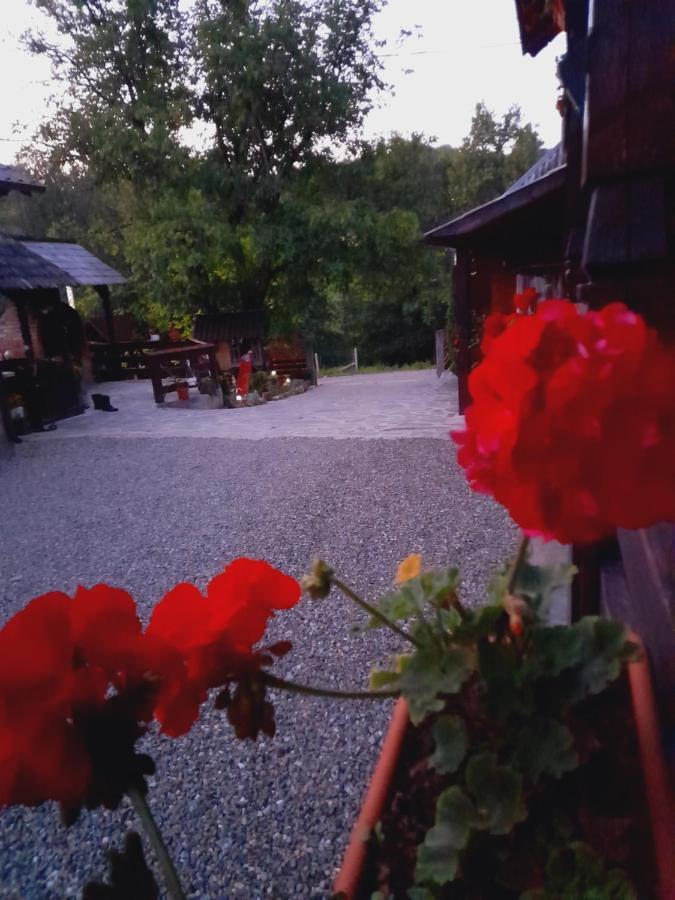 Вилла Casa De La Ferma Mariuca Berbesti Экстерьер фото