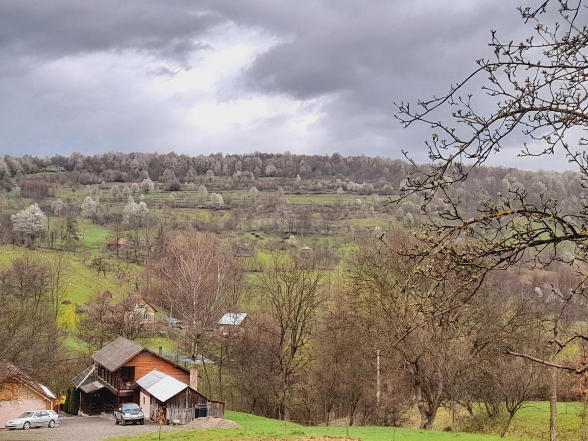 Вилла Casa De La Ferma Mariuca Berbesti Экстерьер фото