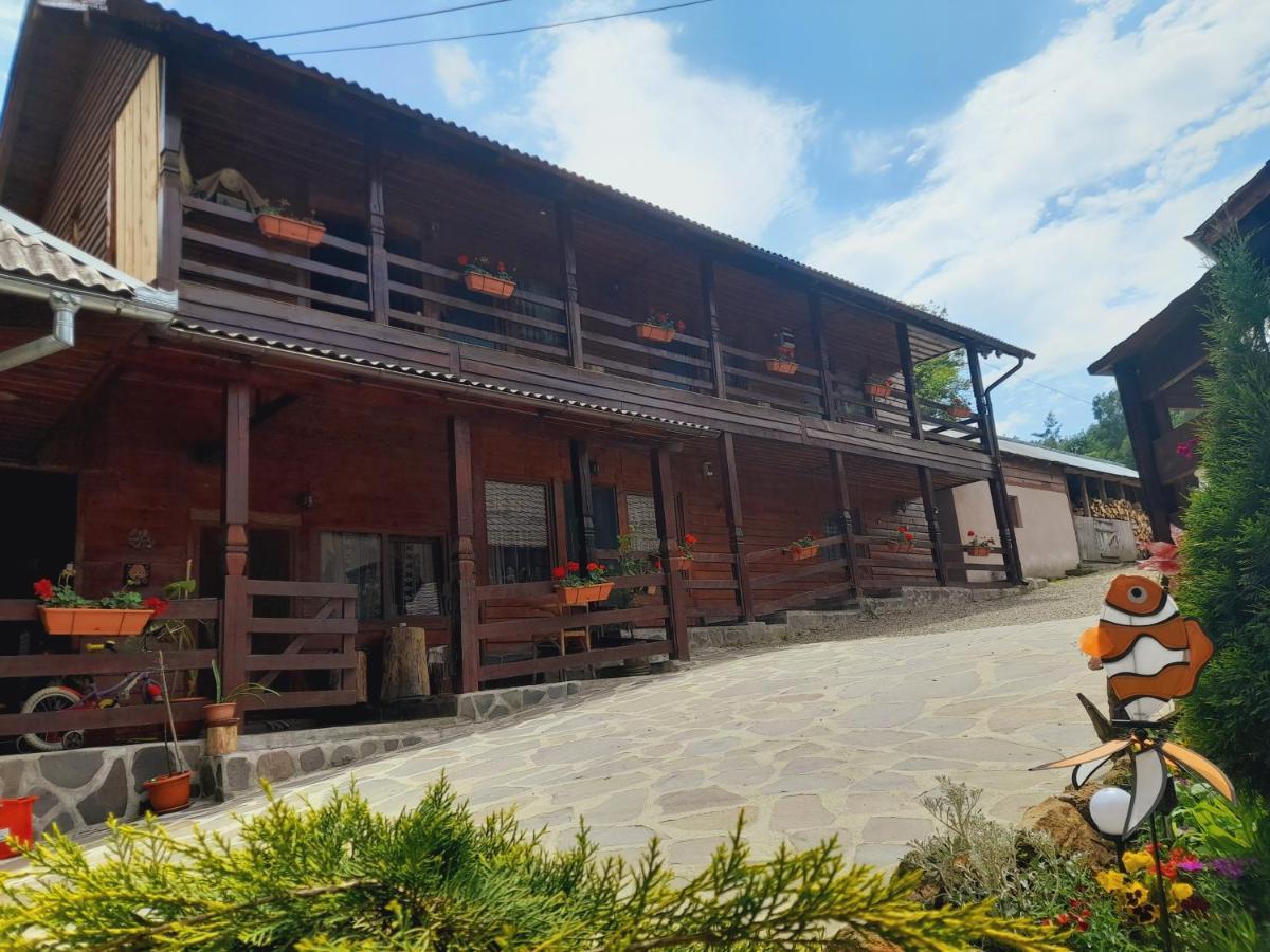Вилла Casa De La Ferma Mariuca Berbesti Экстерьер фото