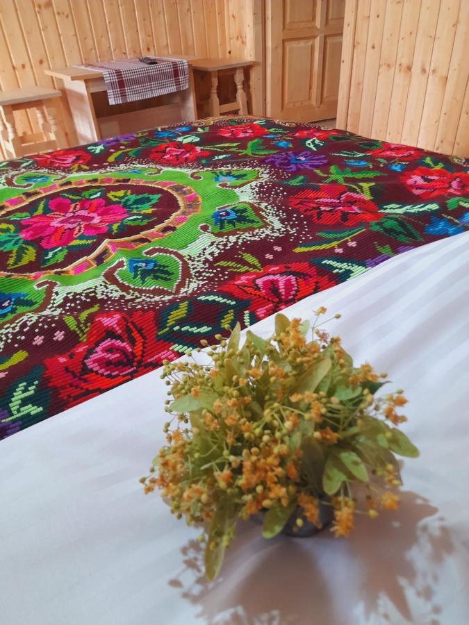 Вилла Casa De La Ferma Mariuca Berbesti Экстерьер фото