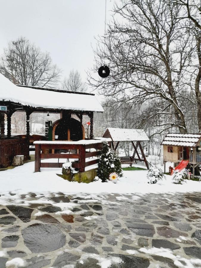 Вилла Casa De La Ferma Mariuca Berbesti Экстерьер фото